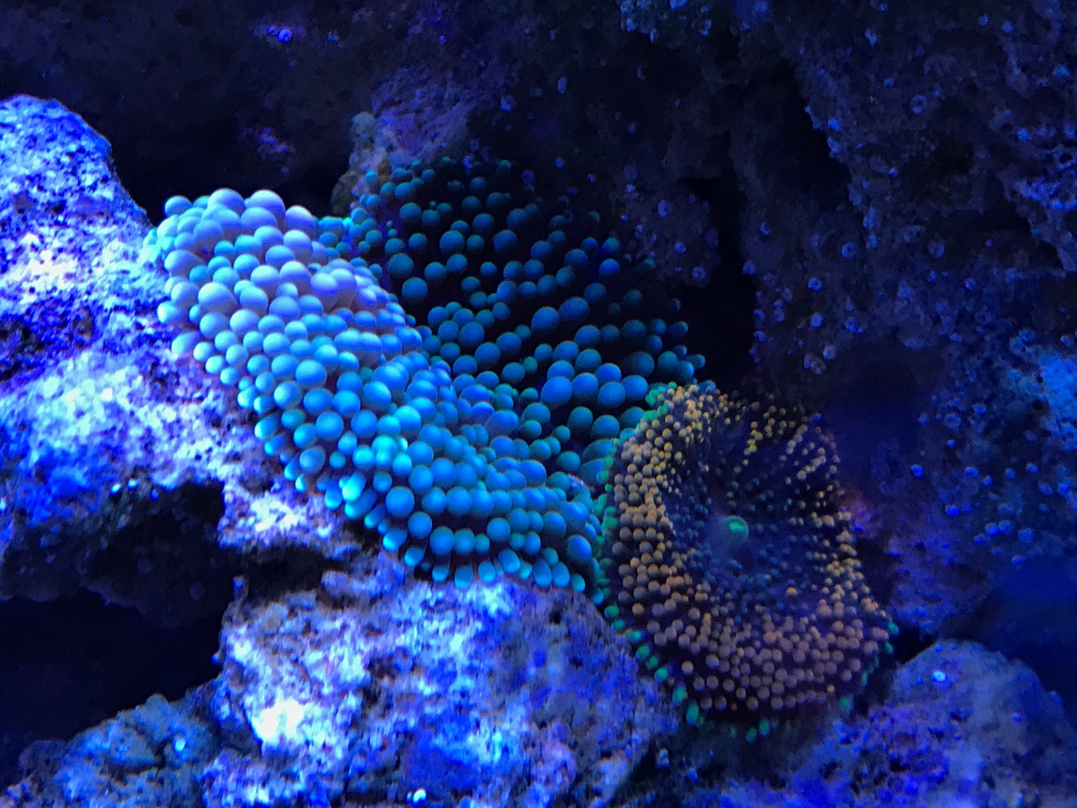 bd37da69e8ec75e0301a52caded72f40.jpg