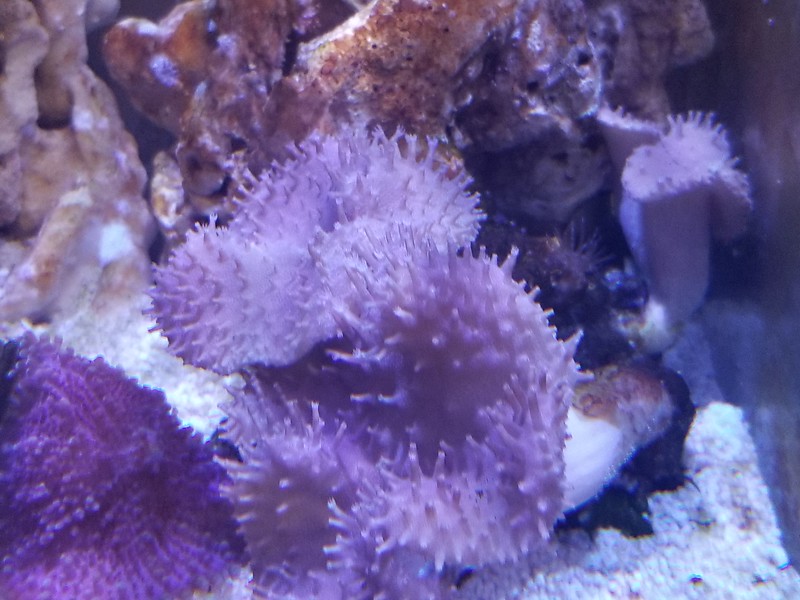 20171011_152800-L.jpg