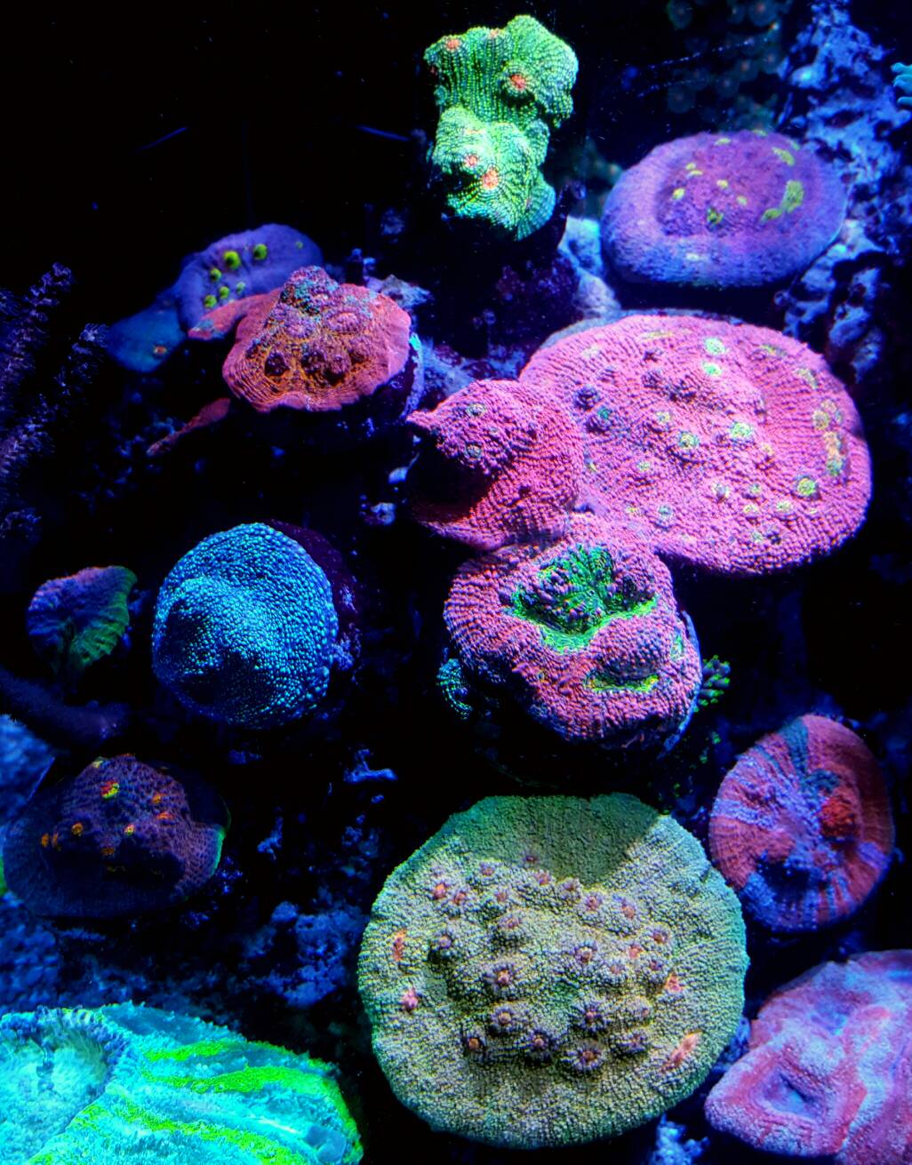 0fa09ebc0bc790ae7581e6ce3255acd4.jpg