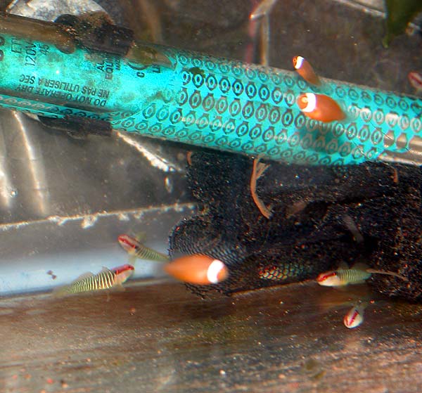 DSCN7939.jpg