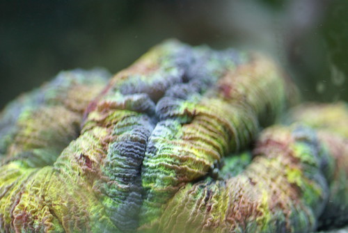 450053954_1f689c6458.jpg