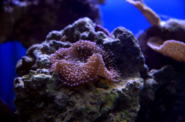 DSC_9247.jpg