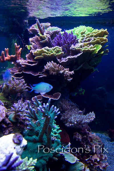 557160740_E6Aa4-L.jpg