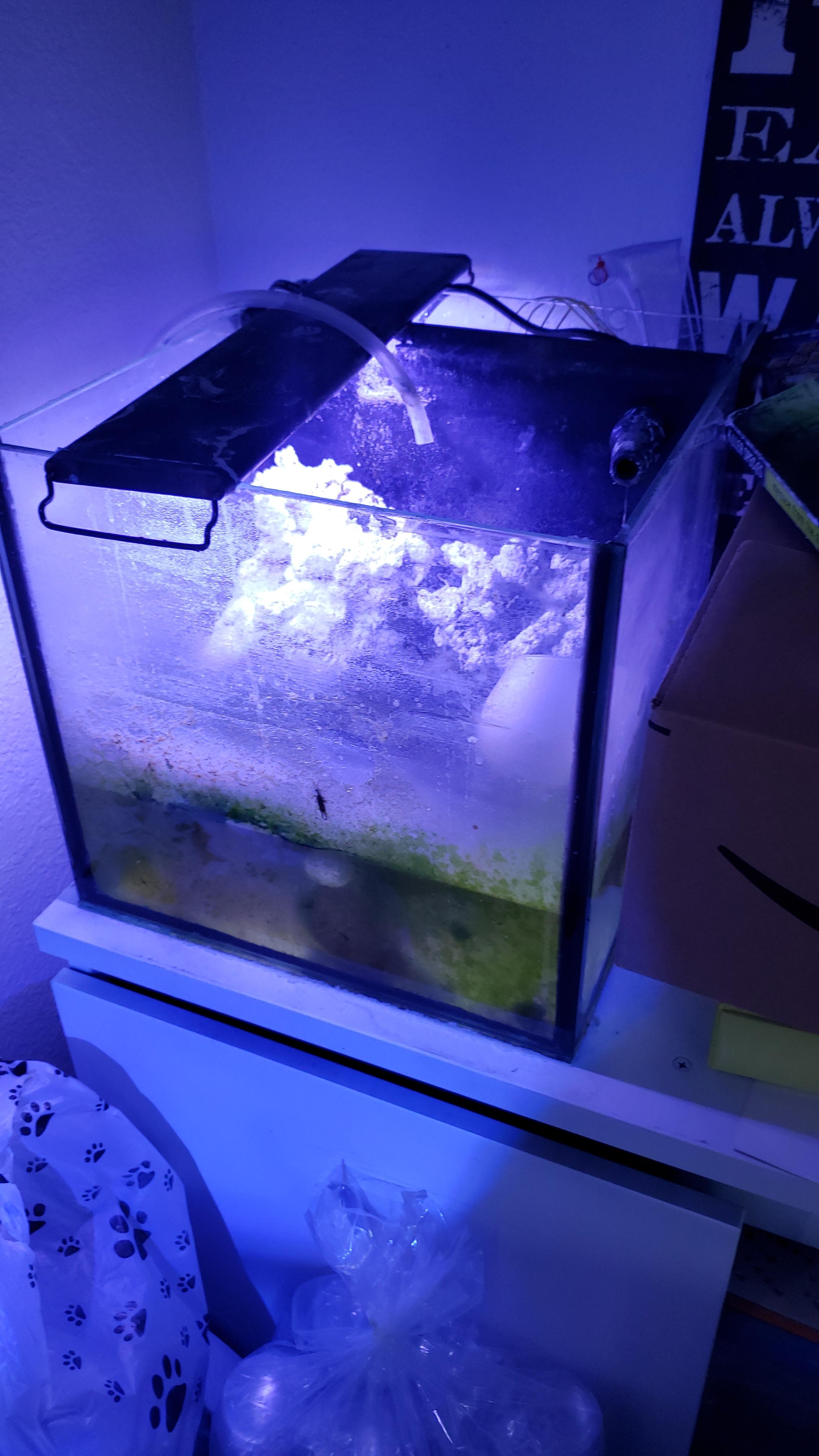 abf39f6e65438238328d77766f8030f7.jpg