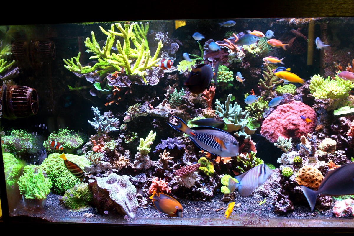 Sept20130020.JPG