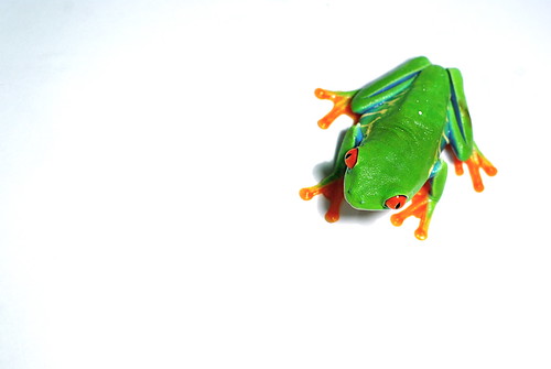 3229890947_b520aebbc6.jpg