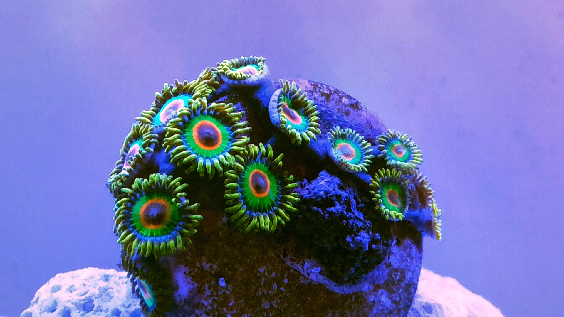 c7cea08b387ac164a8d64bb2b286b2e9.jpg