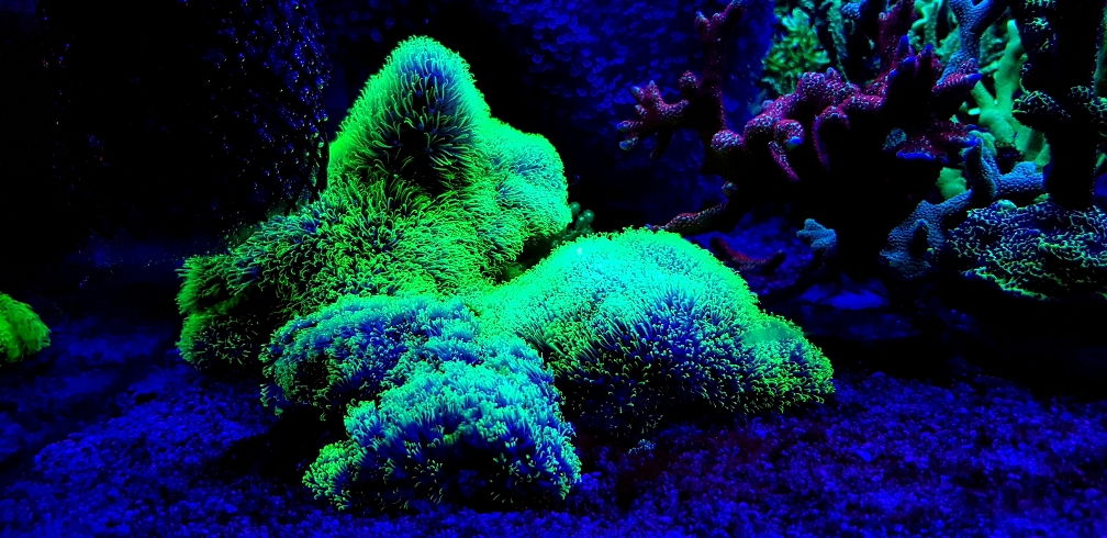 0f279b984810197ddcdd9f13786b8b45.jpg