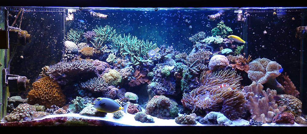 280g_fulltank_100306.jpg