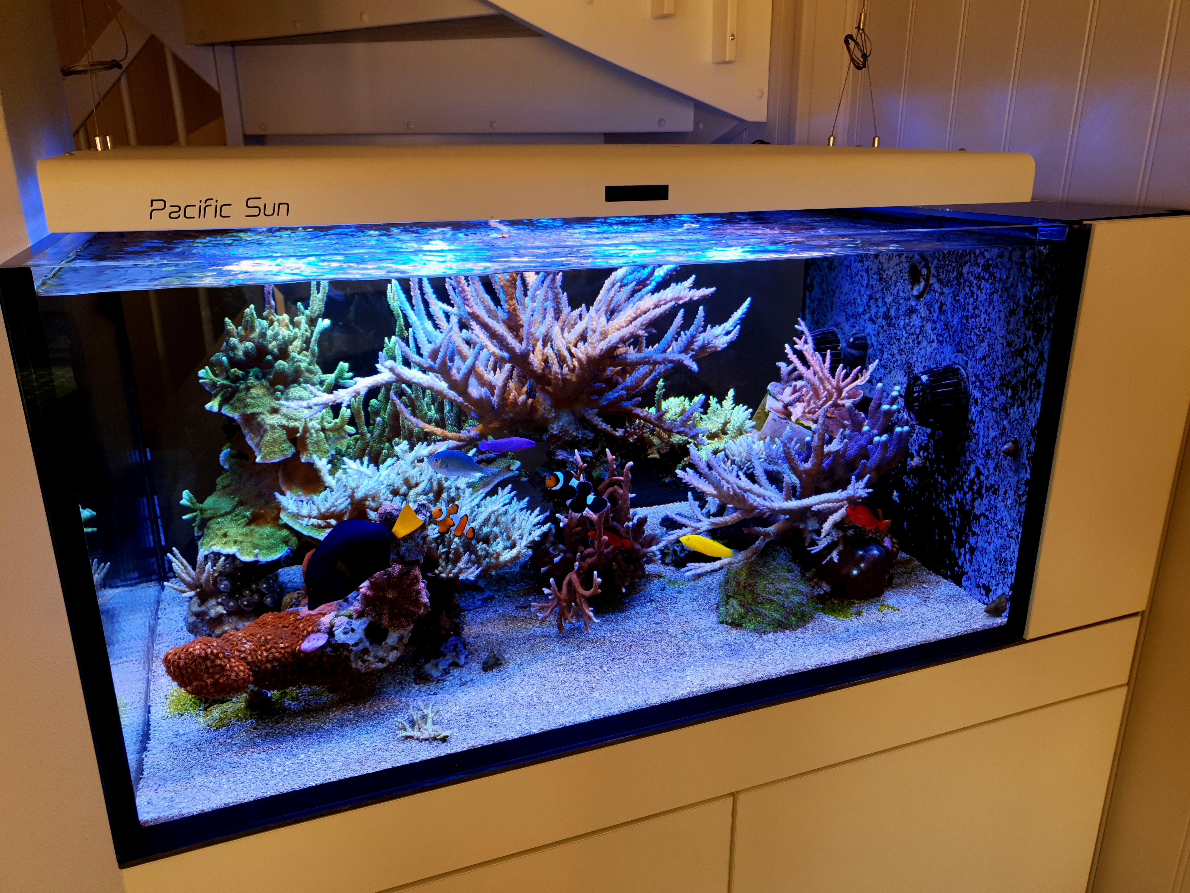 Tank-16-4-21.jpg