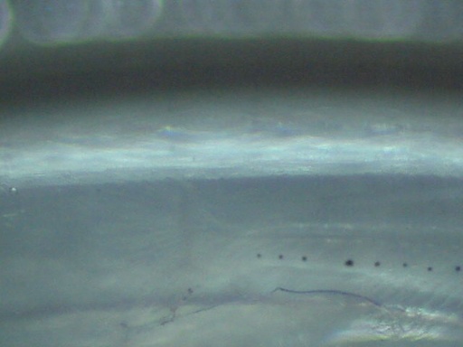 AL_361_6.jpg