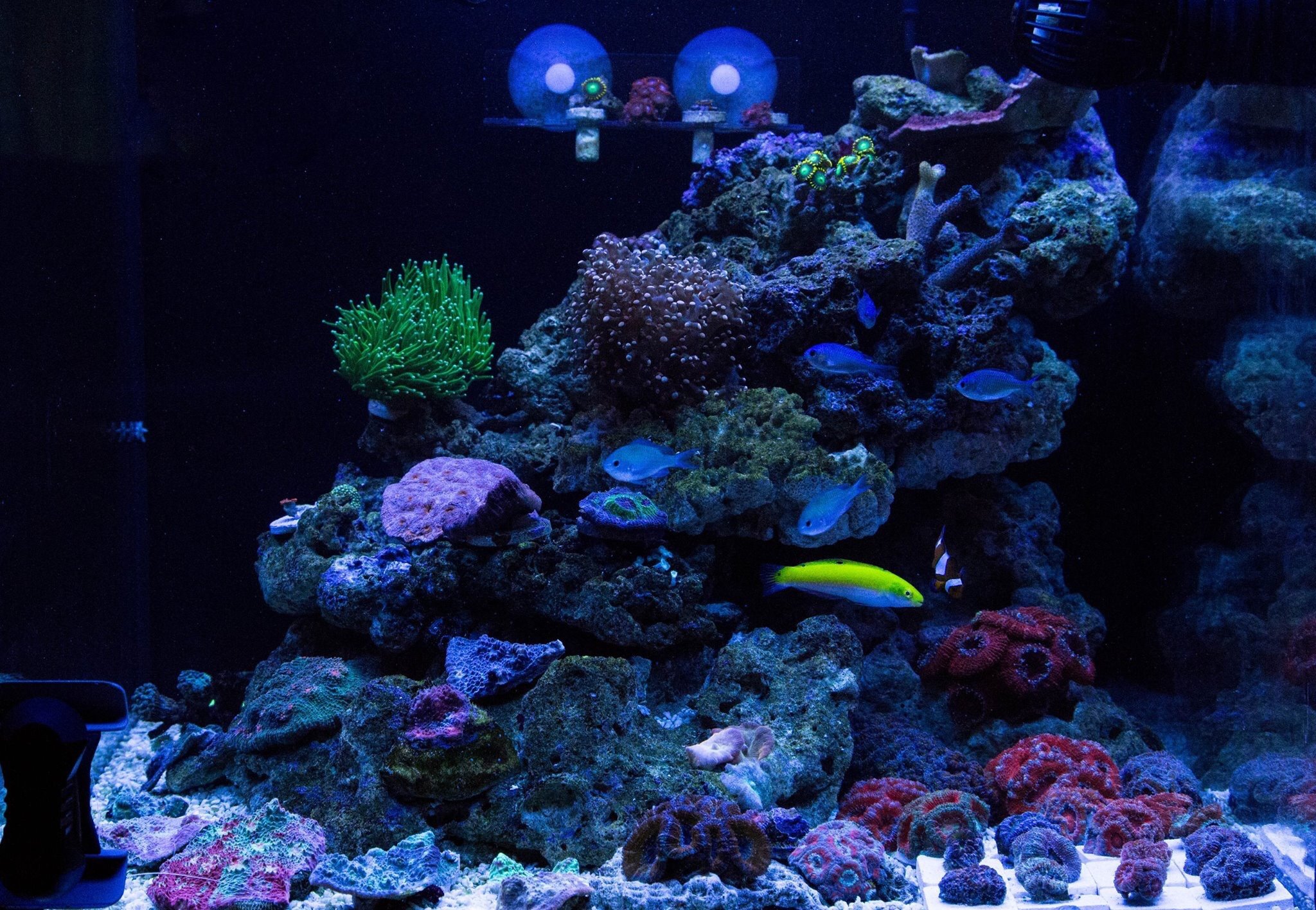 8f7622f2a05a18adf19fc4f8759532d6.jpg