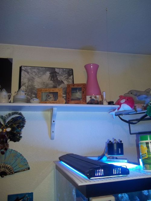tumblr_n73f3mJQue1rddoc7o1_500.jpg