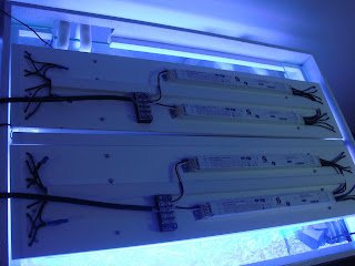 DSC03232.JPG
