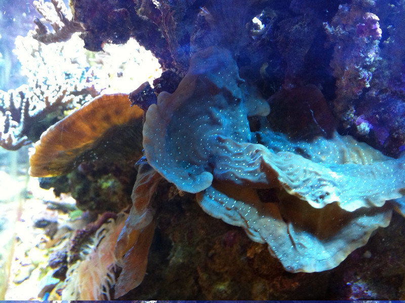 photo-4-L.jpg
