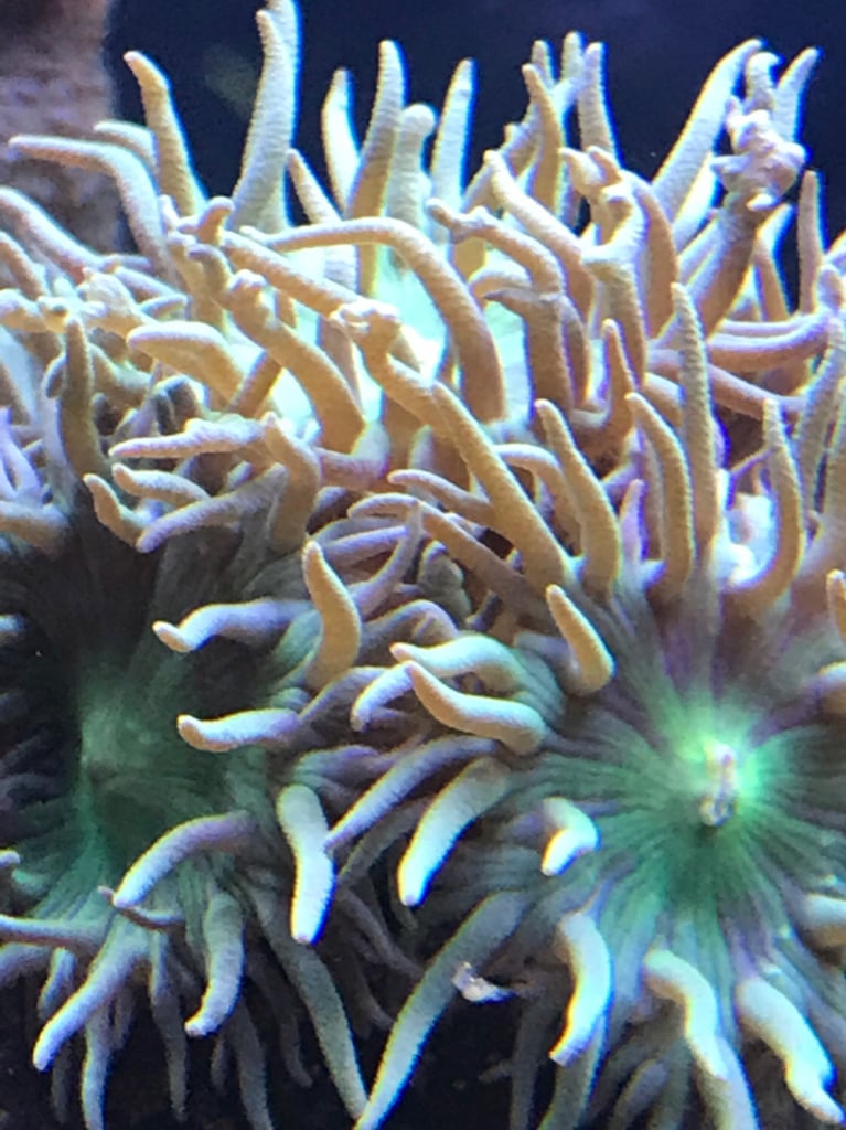 43aeda54797902b02c817d34bcdfdfd6.jpg