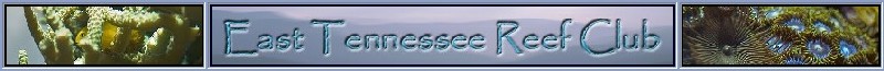 ETRC_Banner.jpg