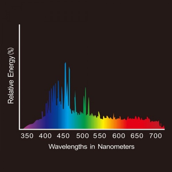 10K%20chart-600x600.jpg