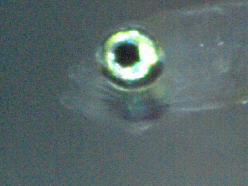 GBG_36_3.jpg