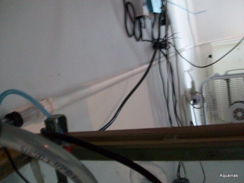 100_6881.jpg