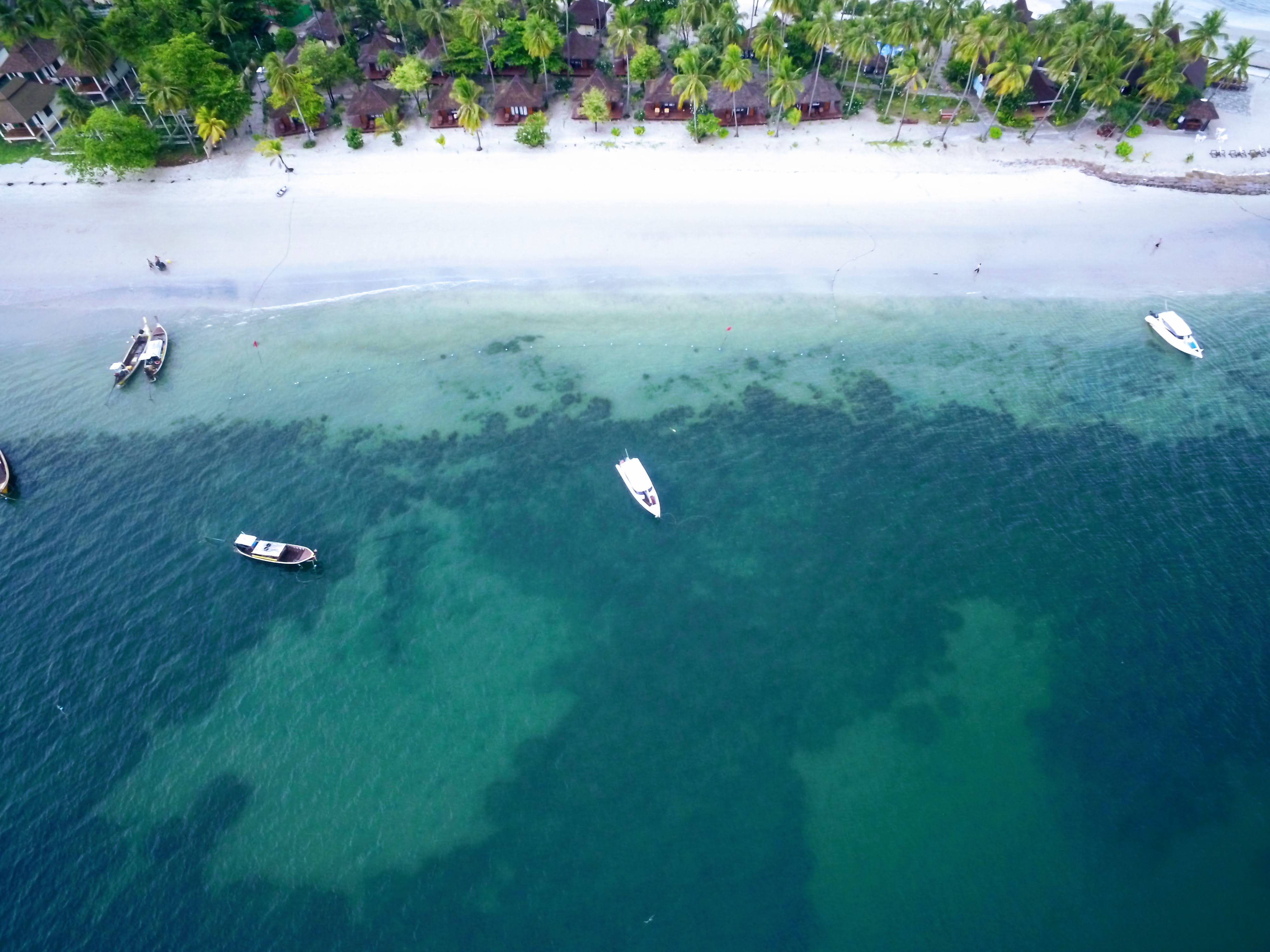 DCIM-100-MEDIA-DJI-0111-JPG.jpg