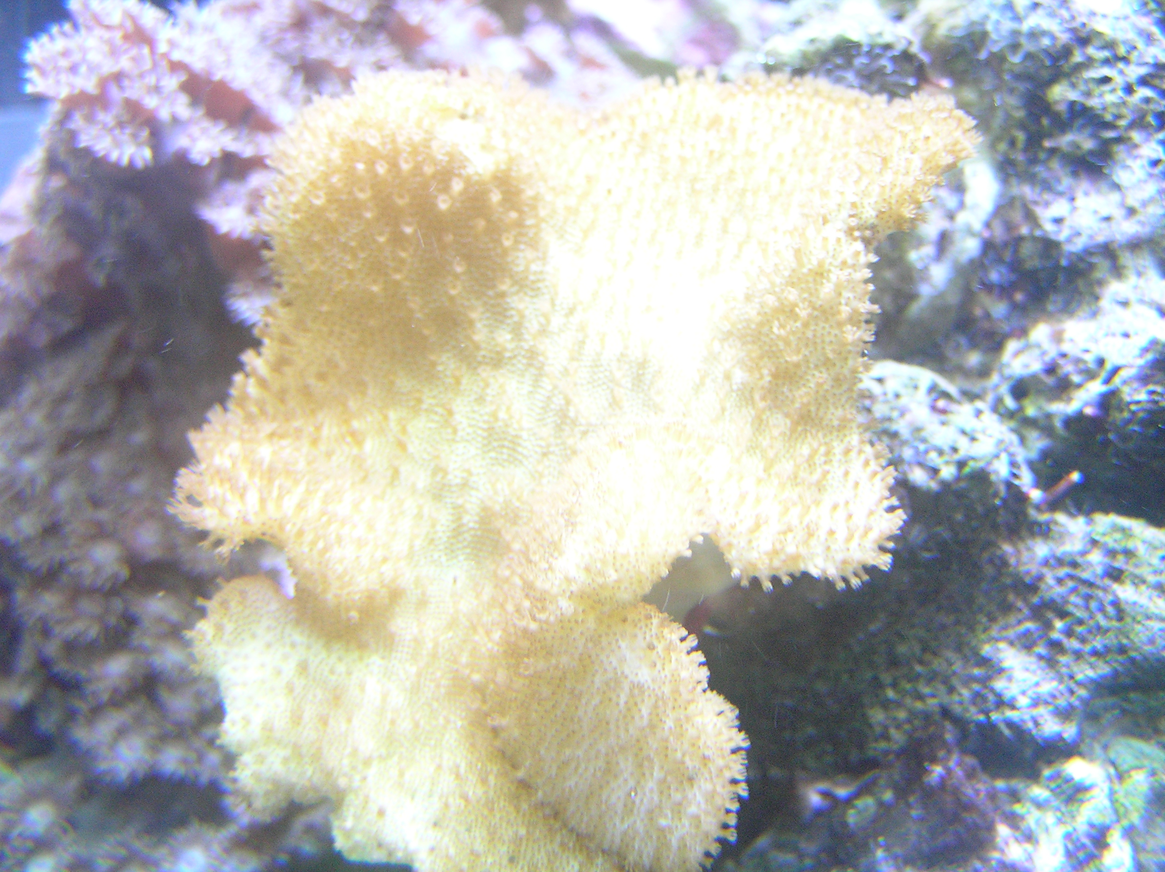 P1010014.JPG