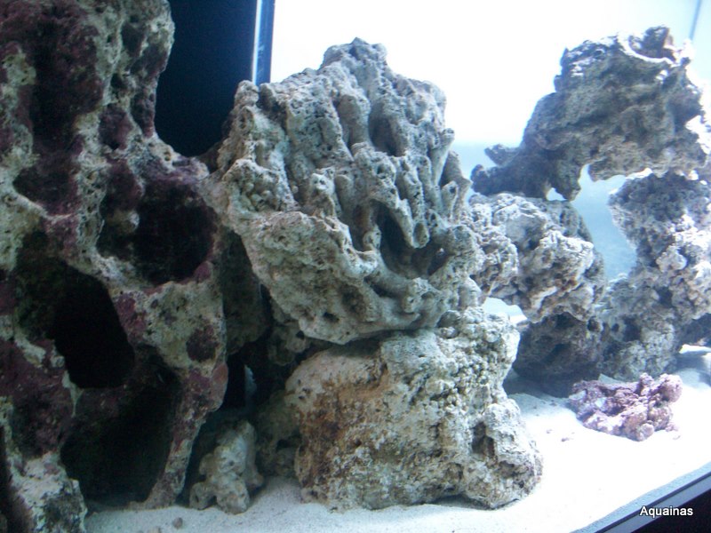 100_6810.jpg