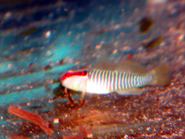 DSCN7945.jpg