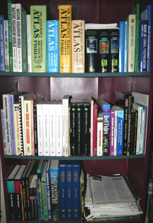 bookshelf.JPG