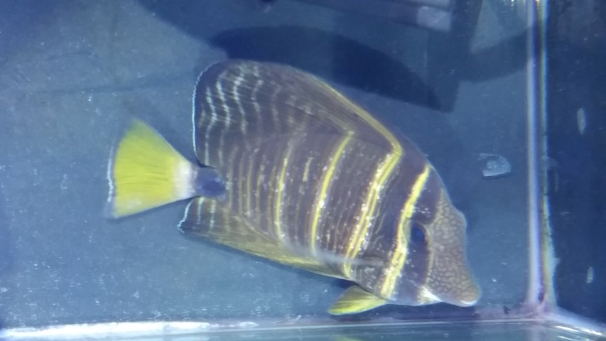 20171218_164653.jpg