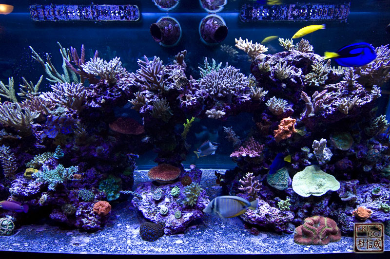 FTS%20middle.jpg