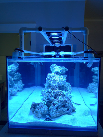 20120609-IMG0408-M.jpg