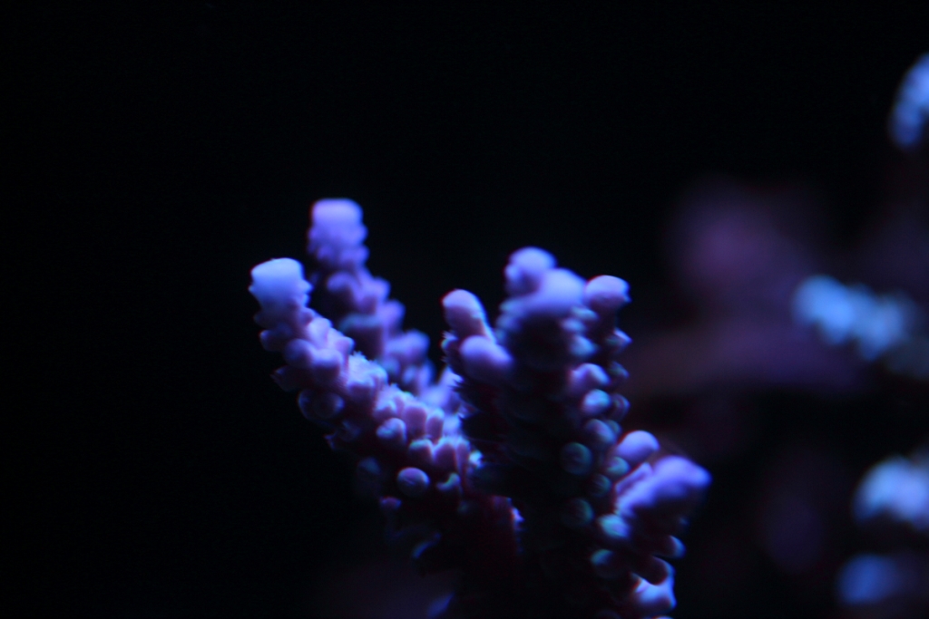 Nov2013M0019.JPG