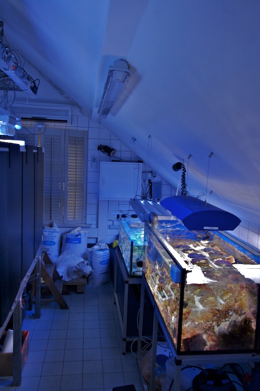 2008-02-frags5.jpg