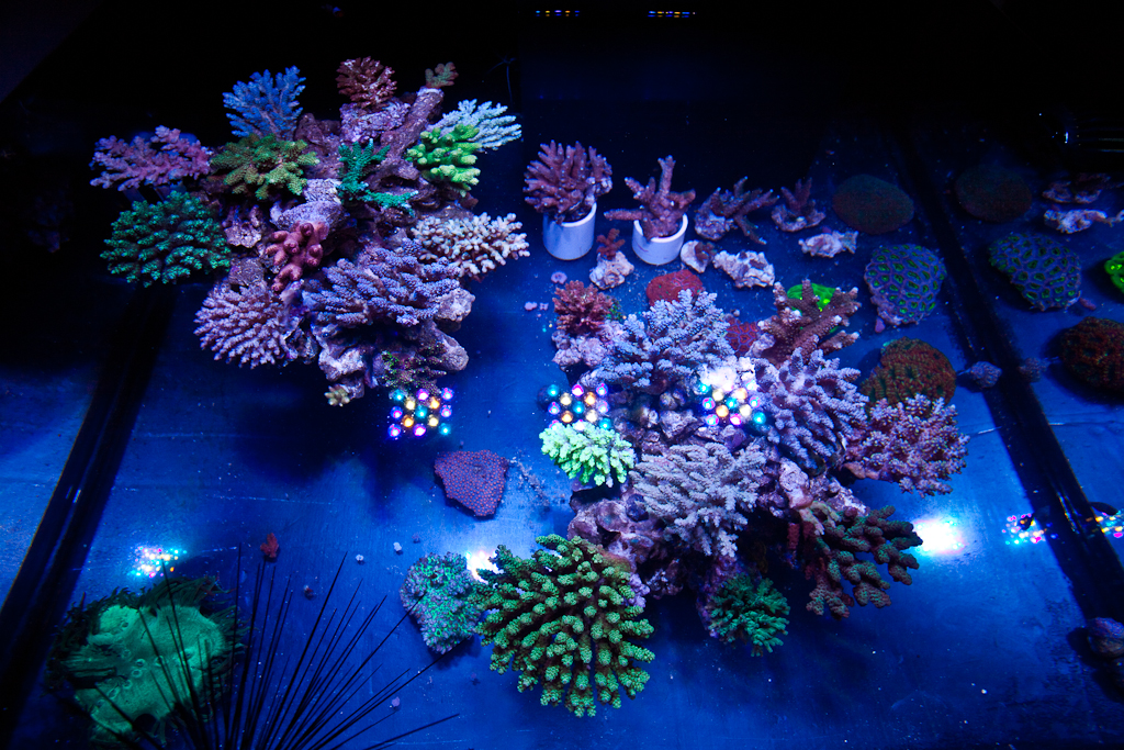 11535972336_d6ee3bb381_b.jpg