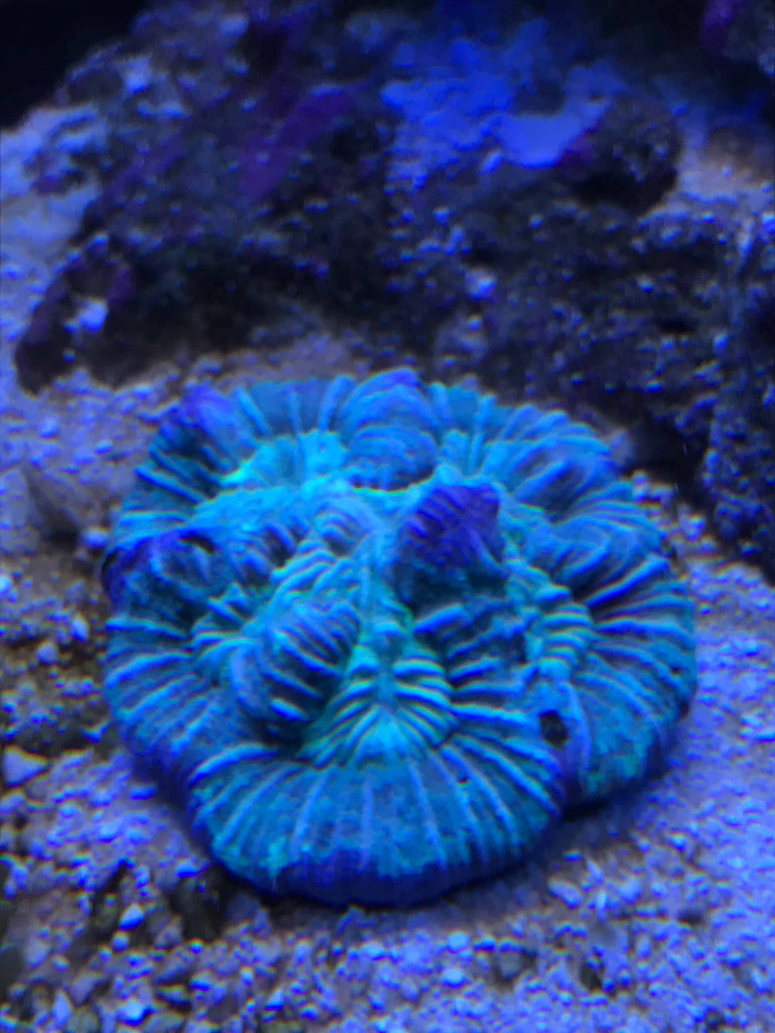 74a7721911ca98da5b790f94f49d1f1e.jpg