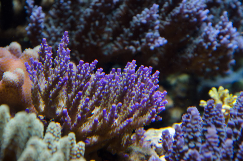 DSC_3756.jpg