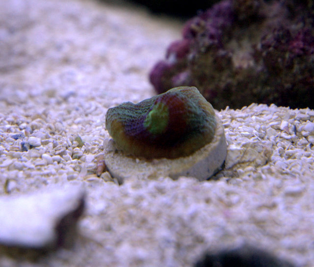 DSC_9251.jpg