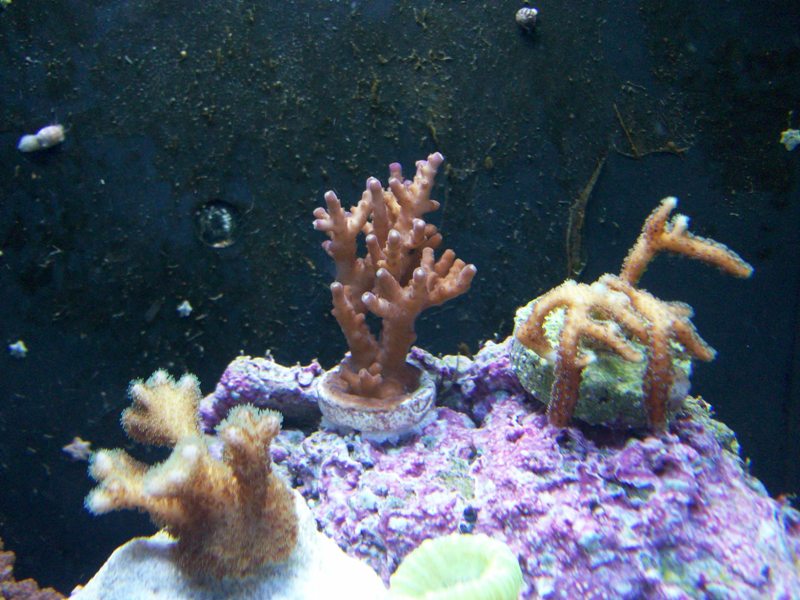 100_6082.jpg