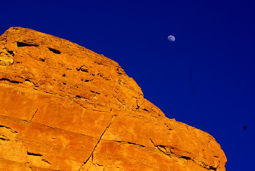 2402808498_18b52e7968.jpg
