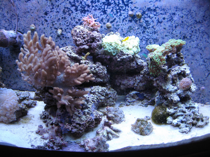 IMG_0663.JPG