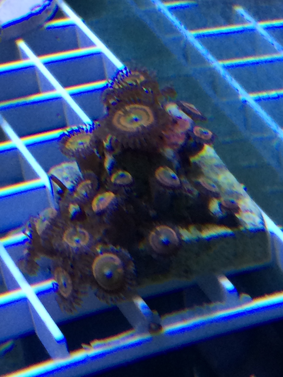 70e2df5ab9f9fcf69e597a4e4892e6d6.jpg