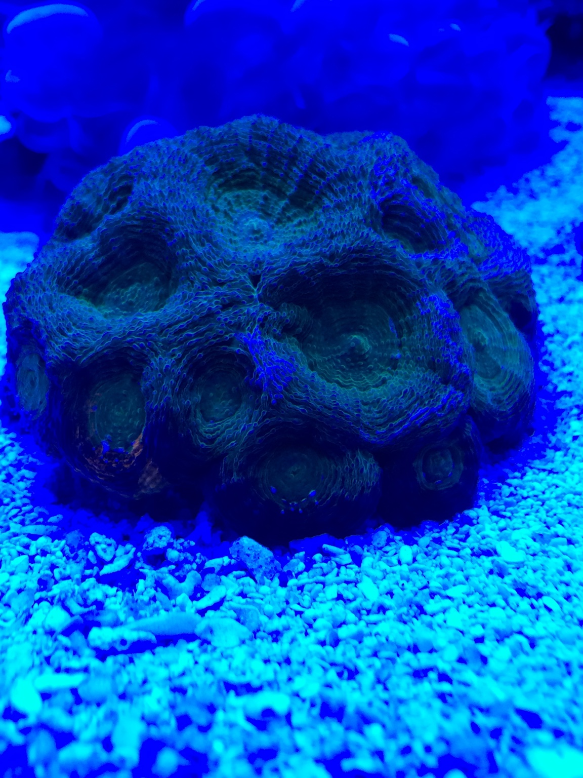 cf1c5ae680137dd21c70f464645d52d8.jpg