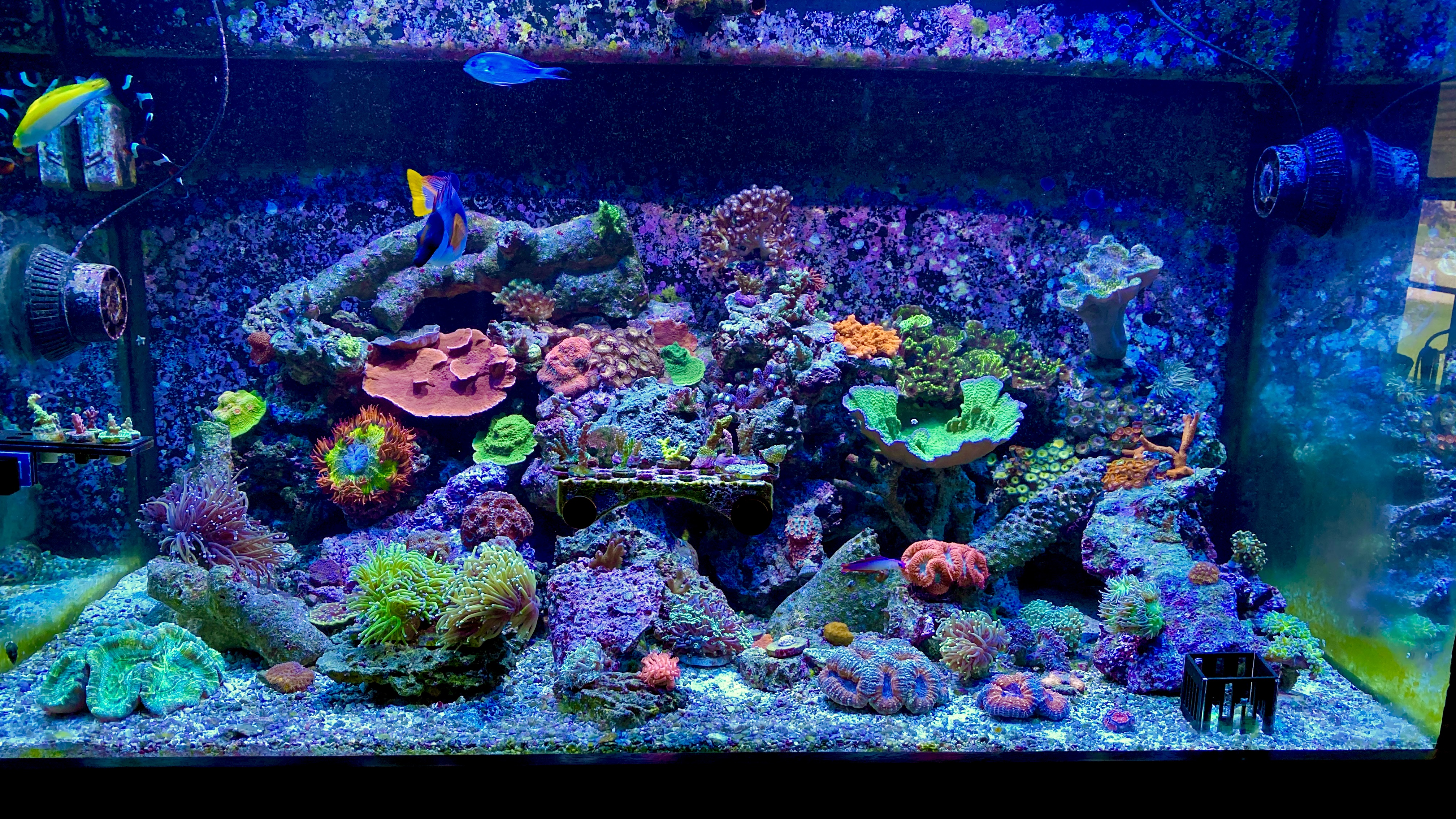 edcaba6bf18753f5f7d4ee673ef8c789.plist