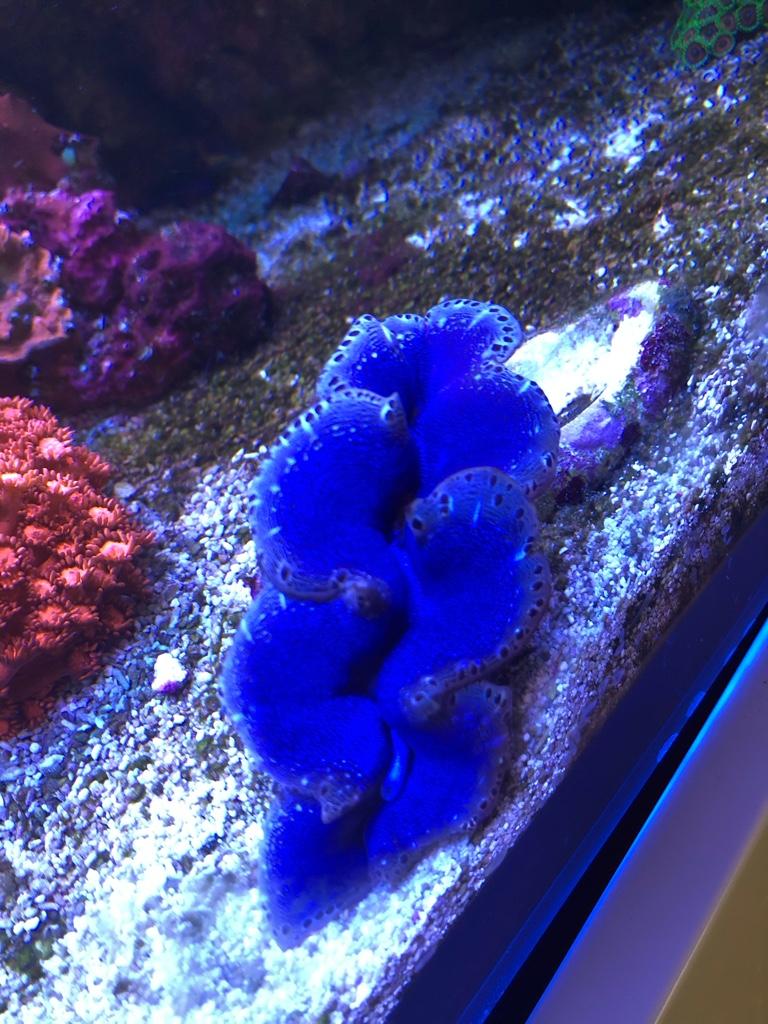d746355d7ce544792562ad408c0c6a23.jpg