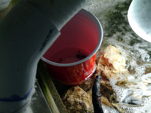 cup_in_fuge.jpg