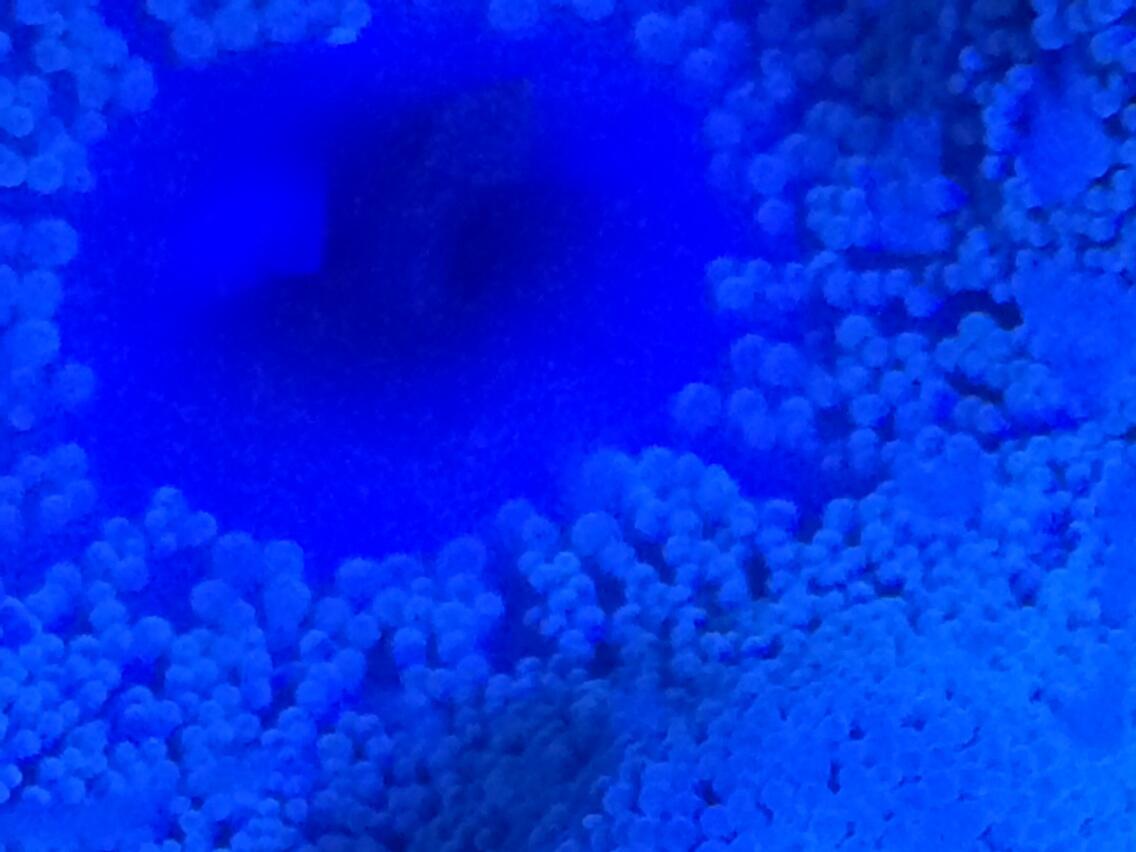 BpK2MCFCQAAVwXf.jpg:large