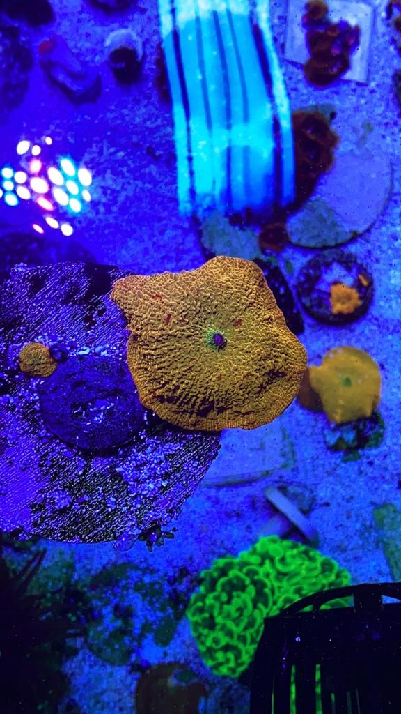 c3886ceb002826253af281cc1c138224.jpg