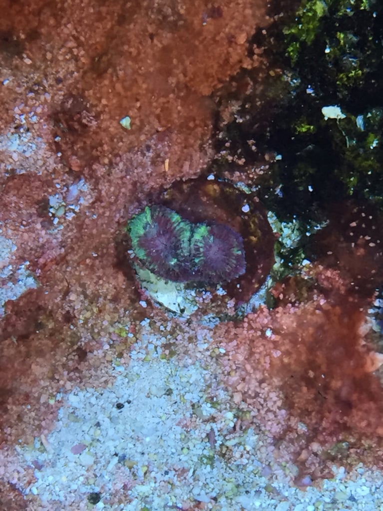 c2ec0aece90a9300e4da7bdd49ada245.jpg