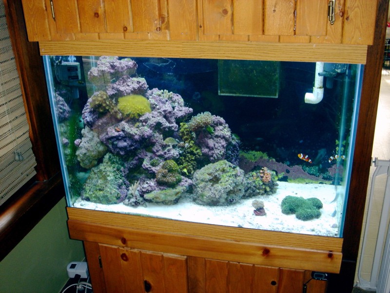 DSC04970-small.jpg